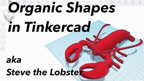 Tinkercad Tutorial - Organic Shapes