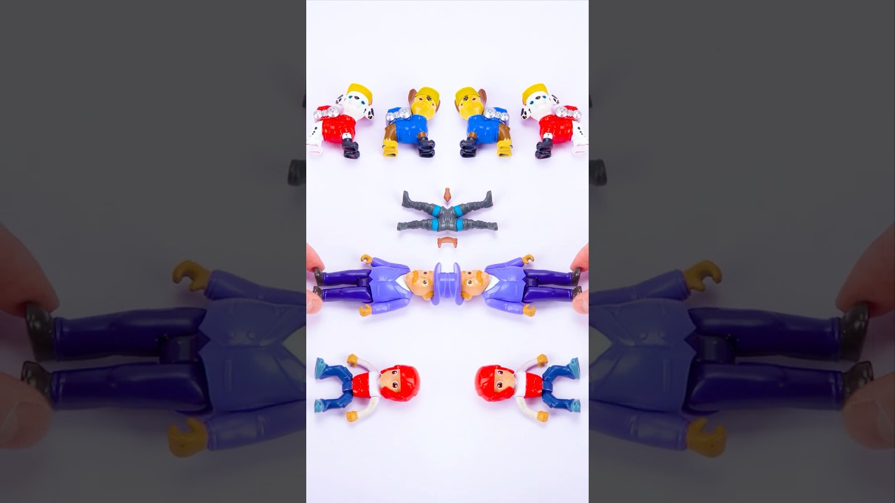 Satisfying Unboxing Experience with Paw Patrol Toys Collection 