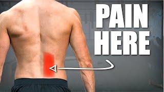 Lower Back Pain Cause, Stretches & Exercises (+ Free Program) by Yiannis Christoulas 10,778 views 1 year ago 8 minutes, 30 seconds