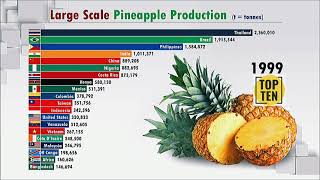 Large scale pineapple production | Racing Bar | The Daily Show | Pineapple Producer Countries