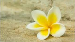 Matahi -Medley Hula [Tahiti]