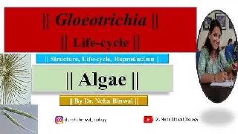 Gloeotrichia Lifecycle || Detailed Video || Dr Neha BinwaL B.Sc, M.Sc, UPSC #upsc #bsc #msc #botany