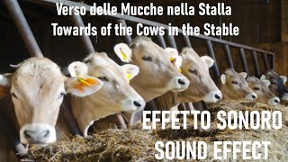 Verso delle Mucche nella Stalla 🐄 Towards of the Cows in the Stable 🐄 [EFFETTO SONORO/SOUND EFFECT]