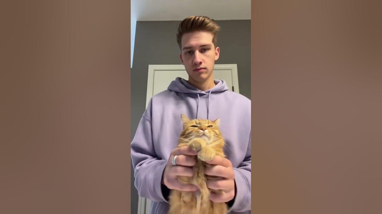 Kupid 🥹 - YouTube