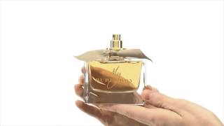 My Burberry Perfume by Burberry Review