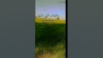 #اكسبلور قرآن كريم #المصحف #الرحمن #راحة_نفسية