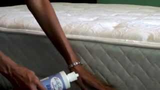 diatomaceous earth bed bugs