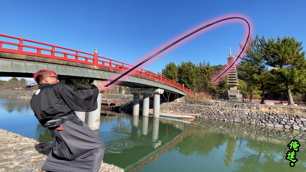 アカン！糸が切れる寸前…【のべ竿侍vs巨大鯉 】