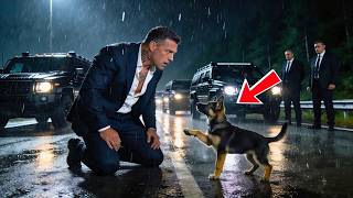 A Dirty LITTLE PUPPY Ran in Front of the MAFIA BOSS’S Cars — Then He Discovered a CHILD in Danger