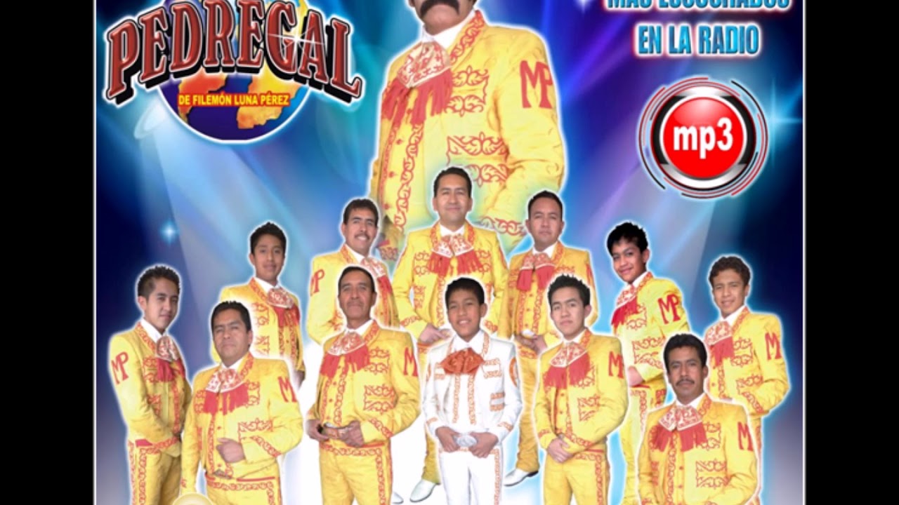 El Hombre De Negro (Mariachi Pedregal)