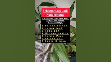 7 Weton Ini Akan Kaya Raya Sampai Tua Berkat Kecerdasannya #shorts