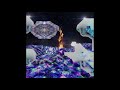 TASER9S9 - DOPAMINA Prod.Mot