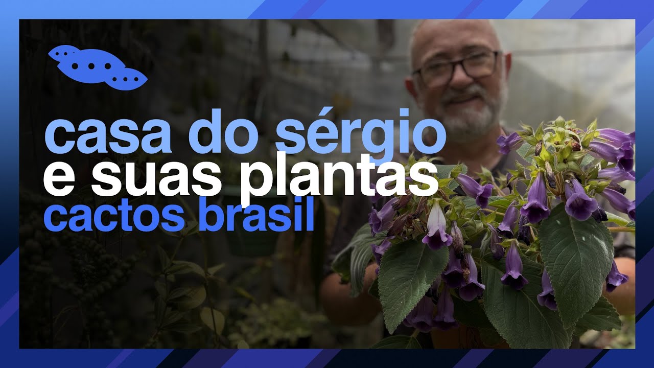 As Plantas da Casa do Sérgio - CACTOS BRASIL