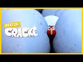 CRACKE - THE INCREDIBLE SHRINKING BIRD | Best Compilations | Videos For Kids | by Squeeze