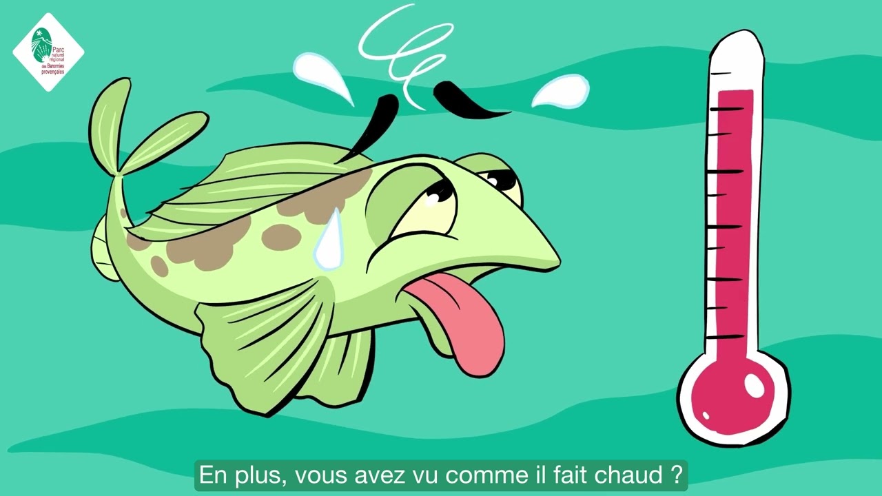 Les Barrages de galets.