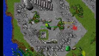 D lair 150ed i 200 rp Tynora.com Tibia OTS!