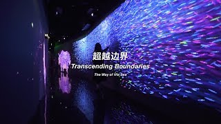 Epson teamlab无畜羞术馆：teamlab borderless shanghai
#teamlabborderless# https://borderless.teamlab.art/shanghai/cn/
teamlab #teamlabborderless...