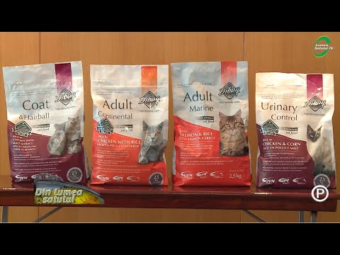 Video: Hrana Pentru Pisici De Calitate Umană: Ce Este? E Mai Bine?