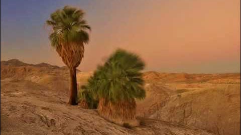 سورة غافر - القارئ أحمد العبيد تلاوة حزينة و خاشعة