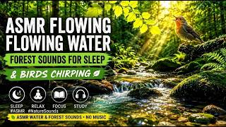 Suara Sungai Di Hutan U0026 Kicau Burung Untuk Tidur Rileks asmr suaraalam