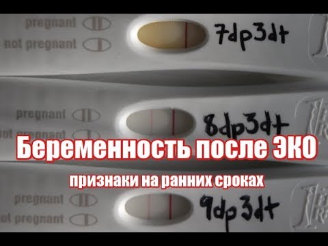 Беременность после ЭКО - ранние сроки, признаки