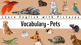 Learn English Vocabulary: Pets
