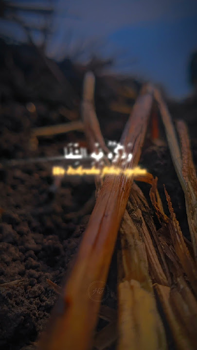 Sholawat innal habib #innalhabibalmusthofa #story