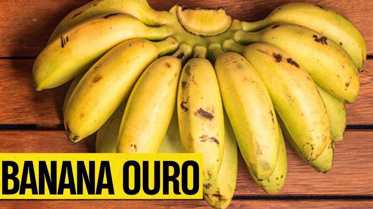 20 Benefícios da BANANA OURO que TODOS DEVERIAM CONHECER! Como Usar e ...