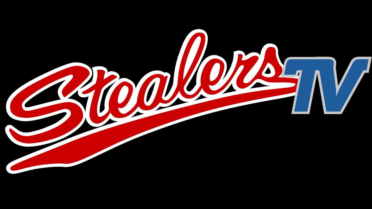 Hamburg Stealers vs. Dohren Wild Farmers