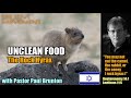 Exploring the Biblical Significance of the Rock Hyrax in Israel: A Unique Encounter