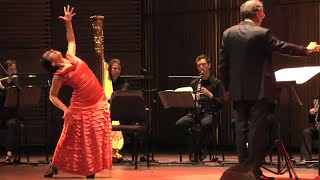 Dutch Flamenco Biennale 2011  - Nieuw Ensemble, Fuensanta 'La Moneta', Arcángel - Mauricio Sotelo