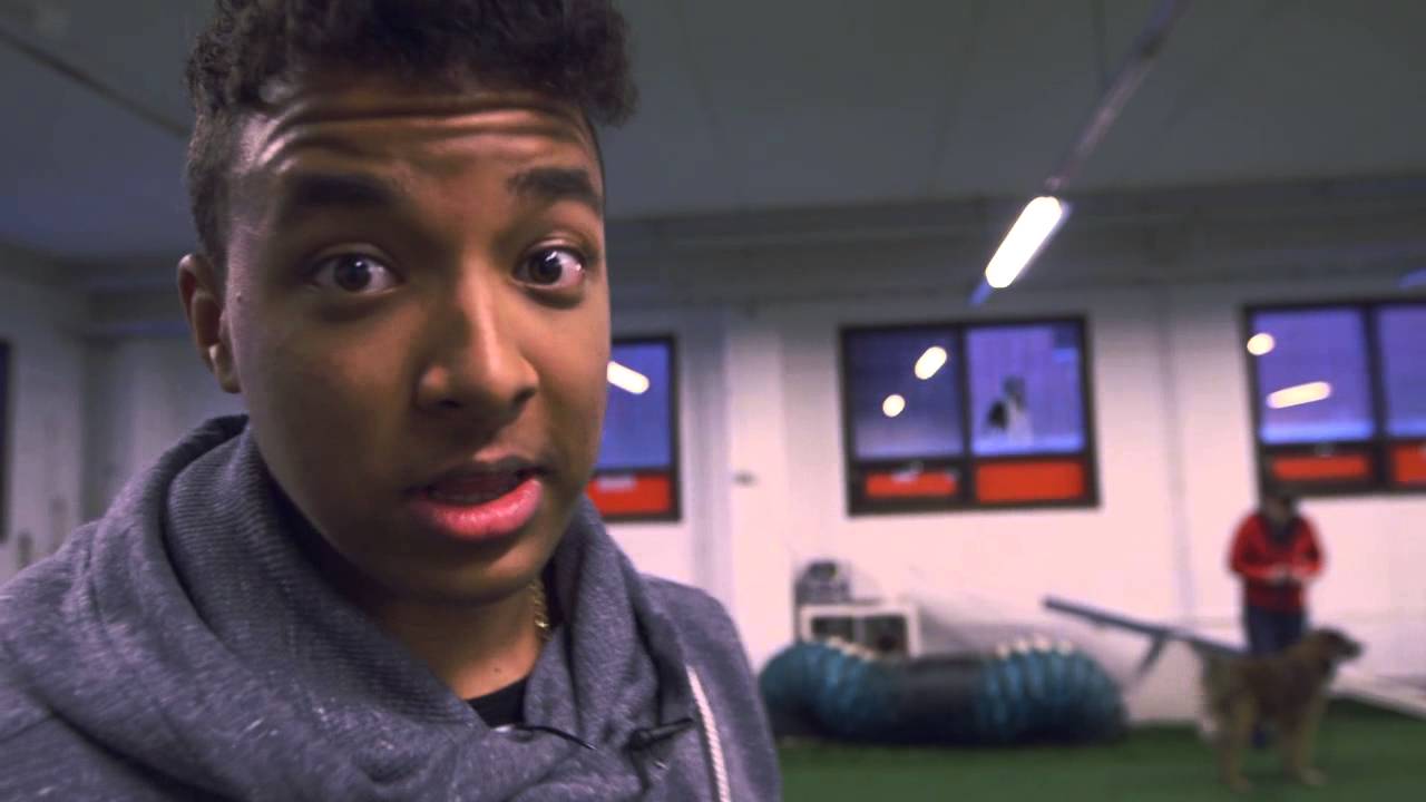 Anin ällilajit - Koiratanssi