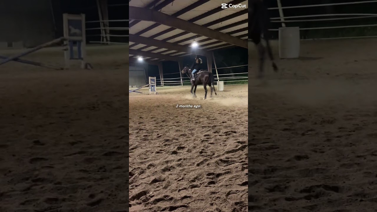 All thanks to my wonderful trainers and work 