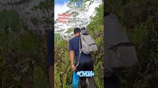 Venturing Mamig p.7 💙 #mountainview #ferns #rememberingtatay #bushes #familytime #chuatravels
