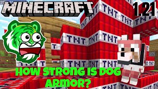 How Strong Is Dog Armor In Minecraft??