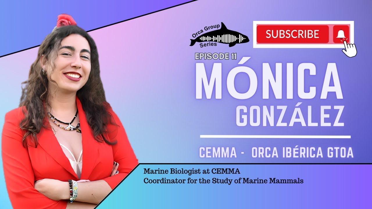 Iberian Orca Interactions & Conservation Update with Orca Ibérica GTOA