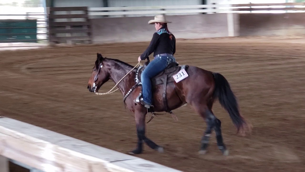 Rhc Ranch Riding Pattern Playboys Little Boon VRH Ranch Reining pattern 6 - YouTube