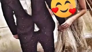 Vaccap Status Mahnilari 20195