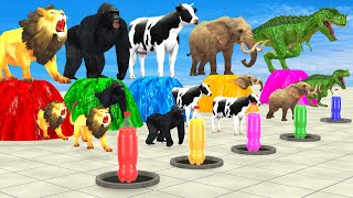 Cow Elephant Gorilla Dinosaur Select The Right Color Bottle Game Animal Fountain Crossing Gameplay
