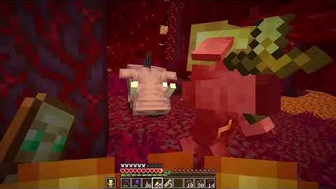 Stealing Hoglins From The Minecraft Nether