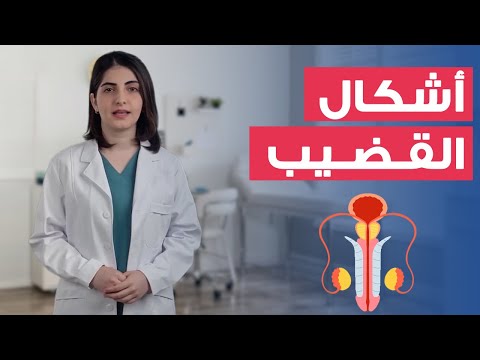 الأشكال الأكثر شيوعا للقضيب