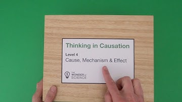 Cause, Mechanism and Effect