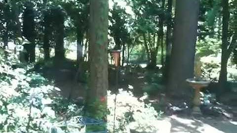 MosquitoNix Mosquito Control Misting System - Misting Systems and Your Nature Heavy Yard