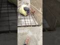 Sidi Homedecor Subscribe Construction Sidi 