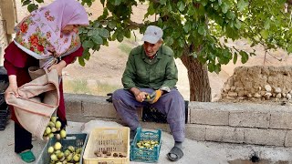 73-Year-Old Iranian Mountain Grandpa Living the Simple Life
