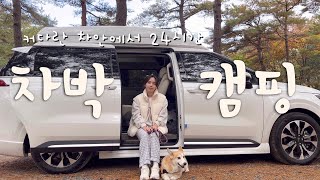 24 Hours in a Spacious VanㅣCar Camping in a Remodeled CarnivalㅣYangyang Walden CampㅣSolo Camping