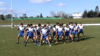 Best Haka on a RUGBY field EVER