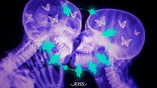 Lasso - Ojos Marrones