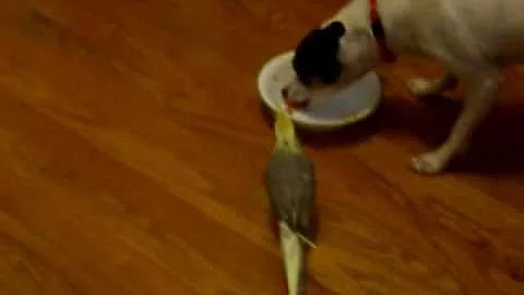Sharing Dinner 0001