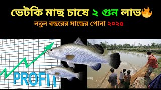 ভালো মানের ভেটকি মাছের পোনা খোজচ্ছেন? 🐟 ভেটকি মাছের পোনার দাম কত ২০২৫